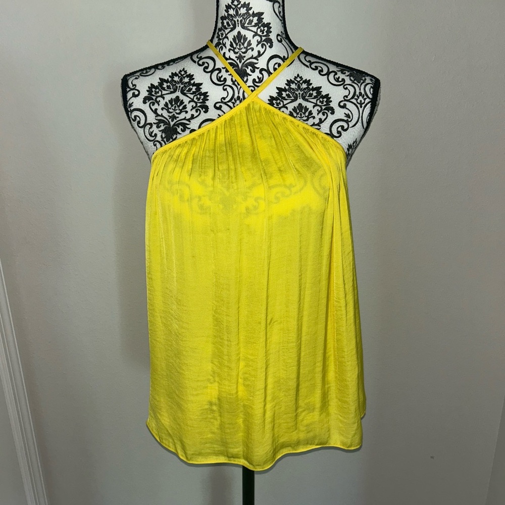 a naked zebra tank top blouse